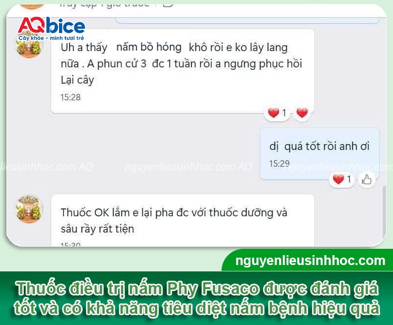 Nấm bồ hóng hại na: Nguyên nhân và cách phòng trừ an toàn 5 Nấm bồ hóng hại na: Nguyên nhân và cách phòng trừ an toàn