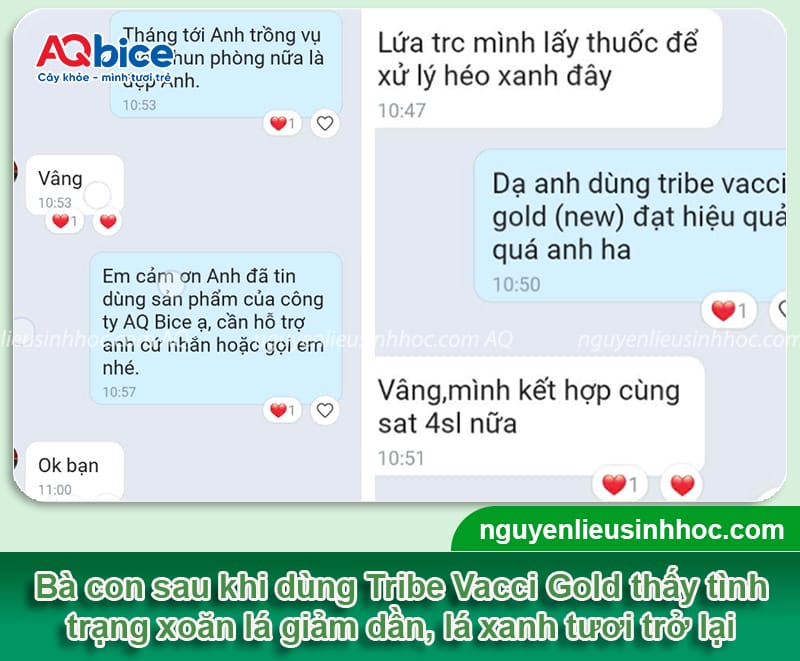 Dấu hiệu khổ qua bị xoăn lá và cách phòng trừ an toàn