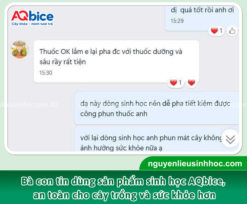 Hướng dẫn cách xử lý bệnh đốm rong cà phê hiệu quả 4 Nhờ ưu điểm là chế phẩm sinh học an toàn, Phy FusaCo còn giúp nhà vườn yên tâm áp dụng trong quy trình canh tác bền vững, góp phần duy trì năng suất và chất lượng cà phê lâu dài.