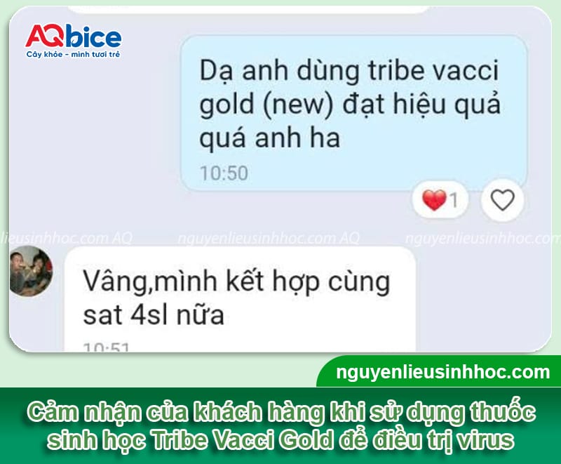 Bệnh tristeza trên cây có múi: Nguyên nhân và cách xử lý 5 Bệnh tristeza trên cây có múi: Nguyên nhân và cách xử lý